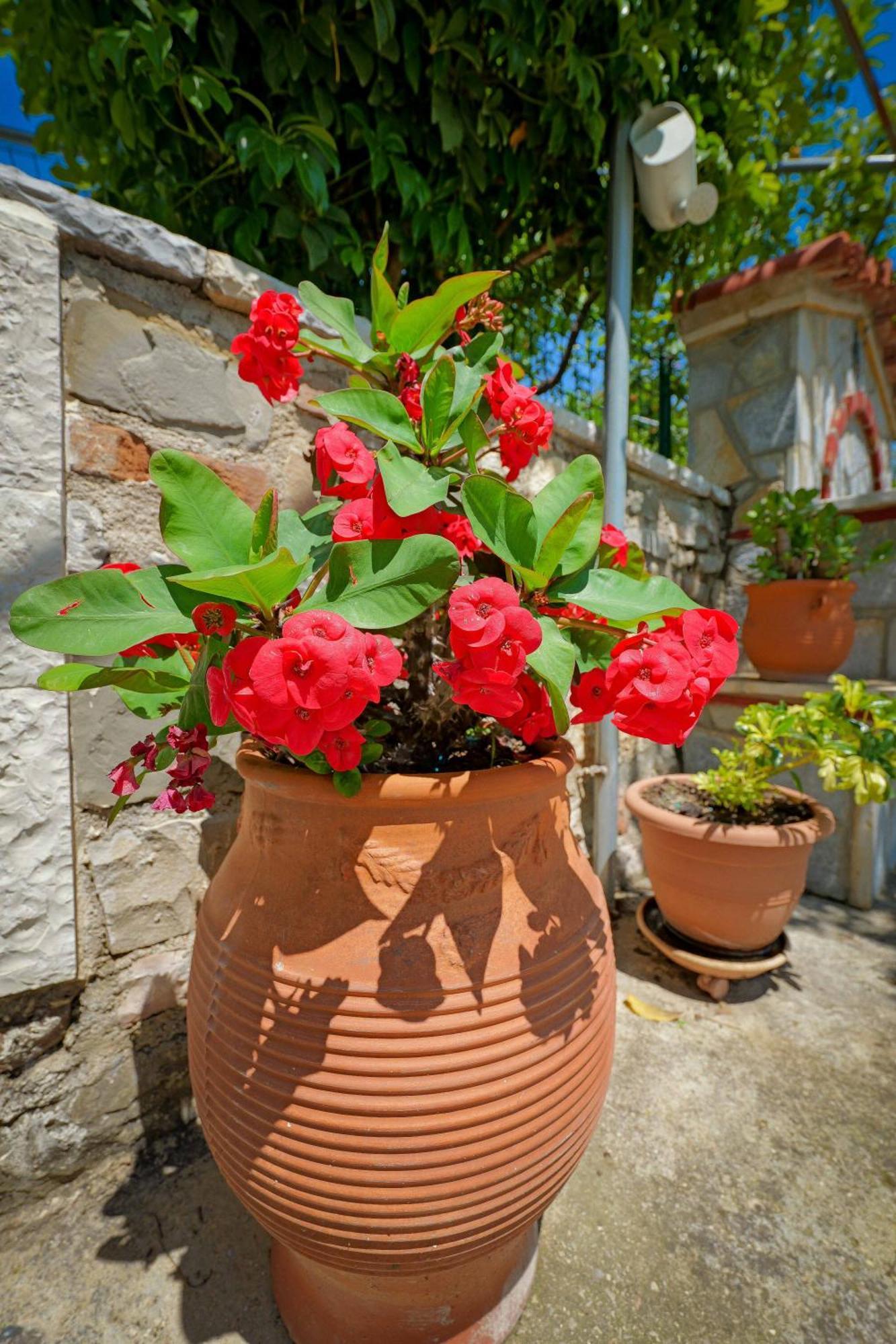 Shena The Farm Boutique Hotel Mesopotam Kültér fotó